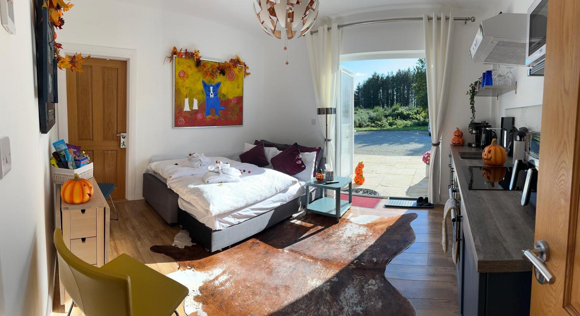 Forest Path Luxury Studio Apartment With Large Bedroom Bathroom And Sauna Sleeps Up To 4 Ballynahinch Exterior photo
