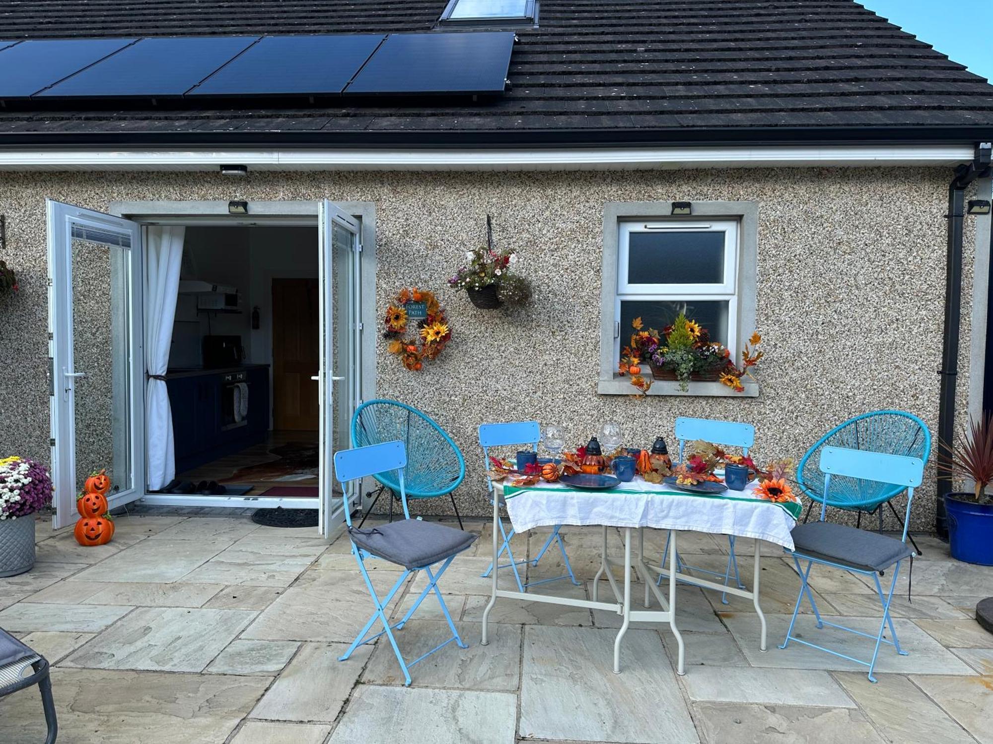 Forest Path Luxury Studio Apartment With Large Bedroom Bathroom And Sauna Sleeps Up To 4 Ballynahinch Exterior photo