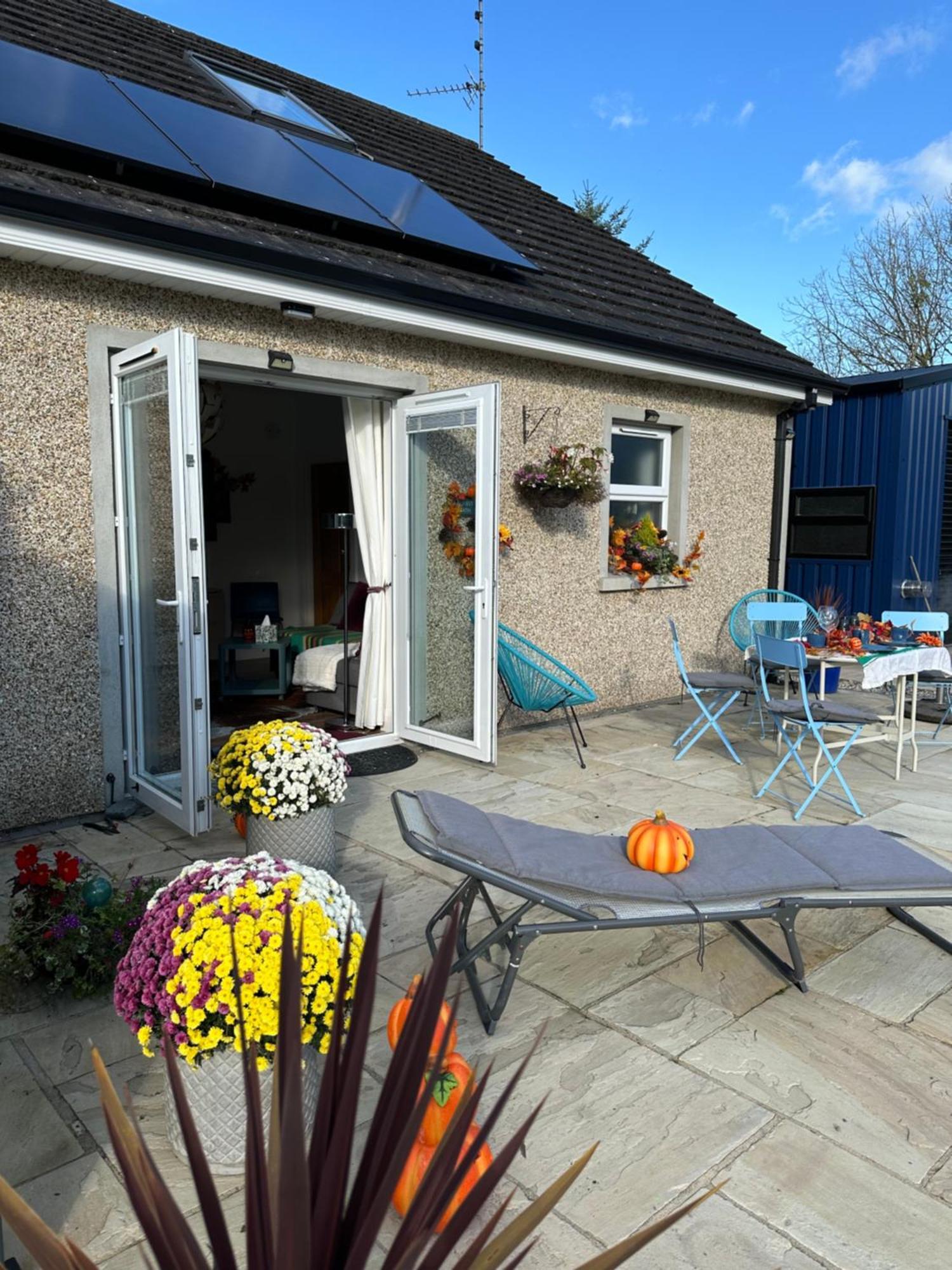 Forest Path Luxury Studio Apartment With Large Bedroom Bathroom And Sauna Sleeps Up To 4 Ballynahinch Exterior photo